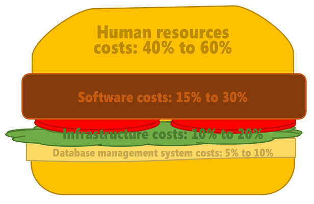 Cost of Implementing ERP